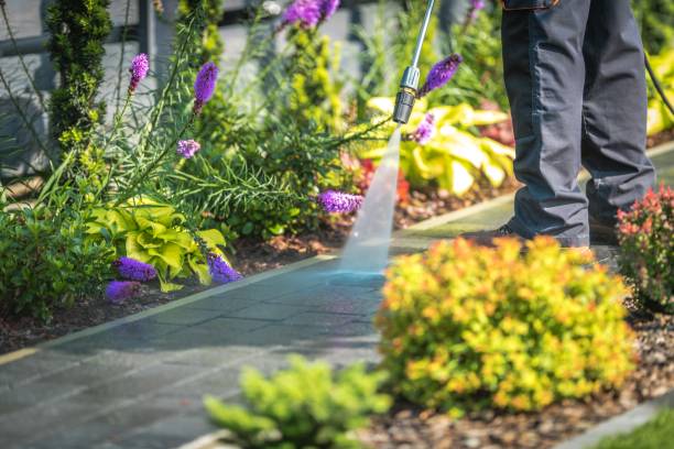 Best Patio and Deck Pressure Washing  in Olympia Heights, FL