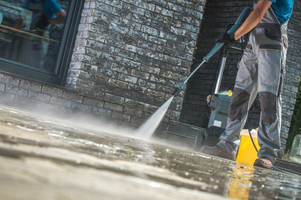 Best Fleet Vehicle Washing  in Olympia Heights, FL
